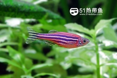 汕頭哪里有賣龍缸的，汕頭哪里有賣坐浴缸的地方