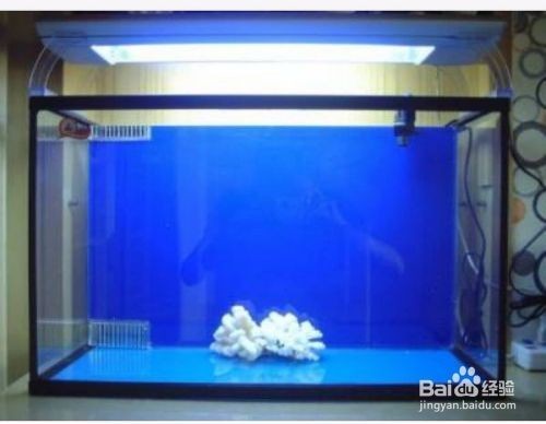 景洪全美水族(景洪全美水族館電話) 全國(guó)水族館企業(yè)名錄 第2張 景洪全美水族(景洪全美水族館電話) 景洪全美水族(景洪全美水族館電話) 全國(guó)水族館企業(yè)名錄 第2張