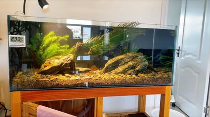 彩蝶魚缸官網入口