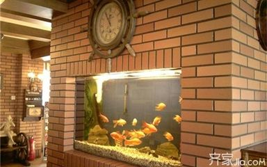 朝南的房子魚缸放什么位置合適呢：坐北朝南房子魚缸擺放的風水注意事項魚缸擺放的最佳位置