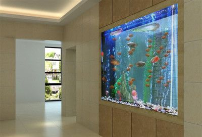 朝南的房子魚缸放什么位置合適呢：坐北朝南房子魚缸擺放的風水注意事項魚缸擺放的最佳位置