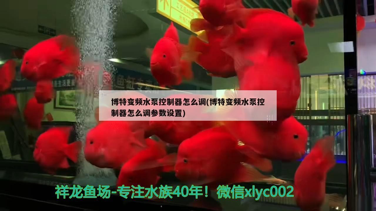 博特變頻水泵控制器怎么調(博特變頻水泵控制器怎么調參數設置)