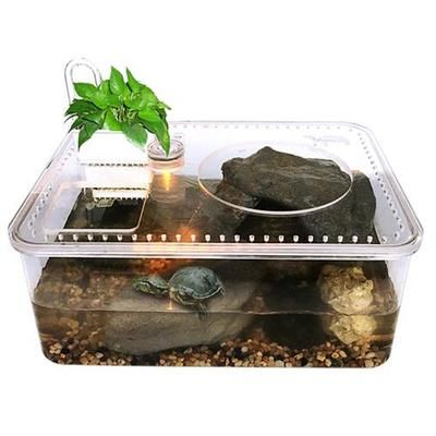 壁虎放魚缸里可以嗎？：壁虎與魚的關系