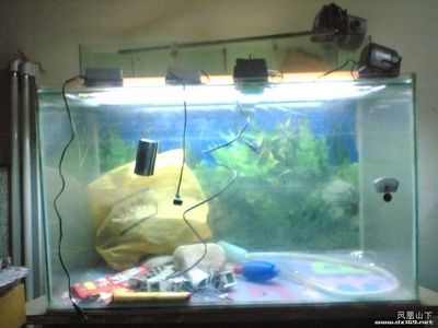neo是什么品牌魚缸：neo品牌是一個專業的魚缸品牌neo品牌推薦