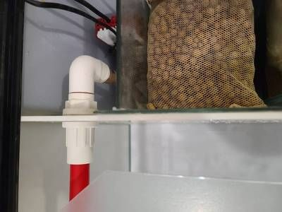 側濾魚缸怎么吸糞便的：側濾魚缸吸糞便的工作原理