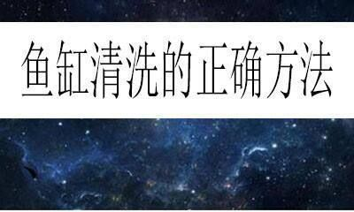 大魚缸如何清潔消毒水：大魚缸清潔消毒水使用方法