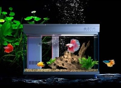 sunsun魚缸怎么設(shè)置溫度：sunsun魚缸如何正確設(shè)置溫度 sunsun魚缸怎么設(shè)置溫度：sunsun魚缸如何正確設(shè)置溫度 森森魚缸 第4張
