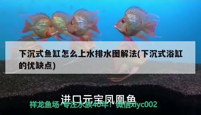 下沉式魚缸怎么上水排水圖解法(下沉式浴缸的優缺點) 下沉式魚缸怎么上水排水圖解法(下沉式浴缸的優缺點) 魟魚百科
