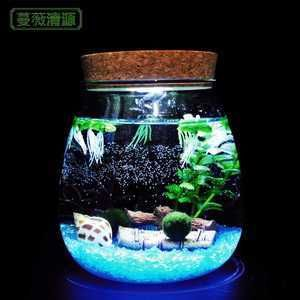 玻璃瓶魚缸diy：diy玻璃瓶魚缸的基本步驟
