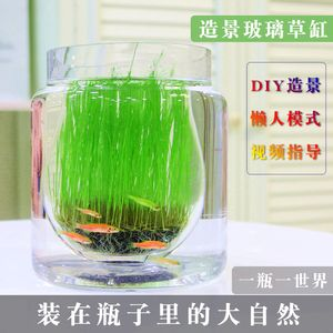 玻璃瓶魚缸diy：diy玻璃瓶魚缸的基本步驟