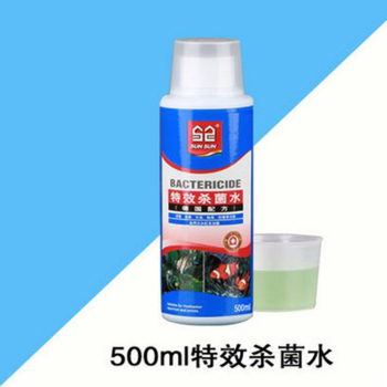 藍底過背金龍魚圖片(藍底過背金龍魚百度百科)