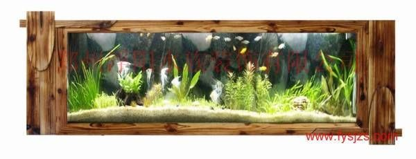 草缸改魚(yú)缸：草缸改魚(yú)缸的步驟