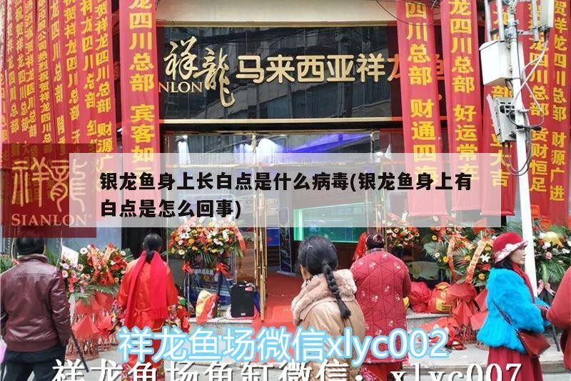 銀龍魚身上長白點(diǎn)是什么病毒(銀龍魚身上有白點(diǎn)是怎么回事)