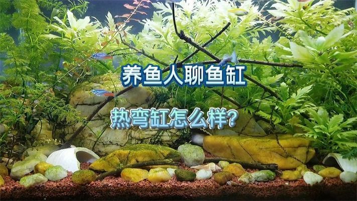 龍魚神經質怎么治療