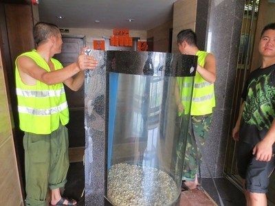 搬家公司能搬魚缸嗎視頻