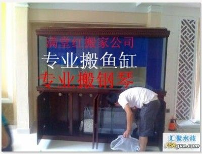 搬家公司能搬魚缸嗎視頻