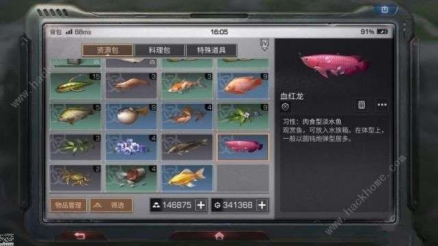 明日之后怎么釣血紅龍魚：《明日之后》血紅龍魚最佳時間，明日之后矛斯沼澤釣魚點