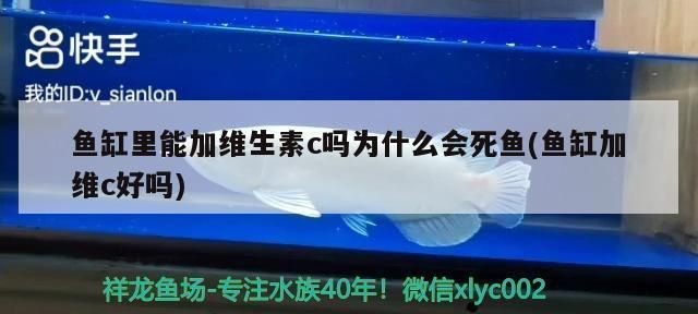龍魚魚缸換水用放維c嗎vs祥龍魚場(chǎng)：維生素c對(duì)龍魚健康的影響
