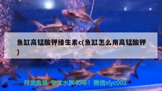 龍魚魚缸換水用放維c嗎vs祥龍魚場(chǎng)：維生素c對(duì)龍魚健康的影響