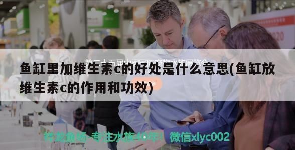 龍魚魚缸換水用放維c嗎vs祥龍魚場(chǎng)：維生素c對(duì)龍魚健康的影響