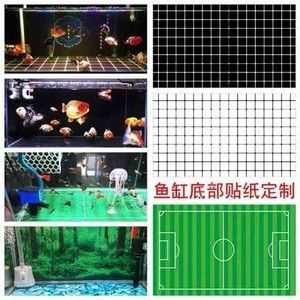 大型魚缸底部鋪什么好：大型魚缸底部鋪料的優缺點 大型魚缸底部鋪什么好：大型魚缸底部鋪料的優缺點 魚缸百科 第4張