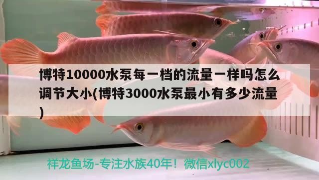 博特10000水泵每一檔的流量一樣嗎怎么調(diào)節(jié)大小(博特3000水泵最小有多少流量)