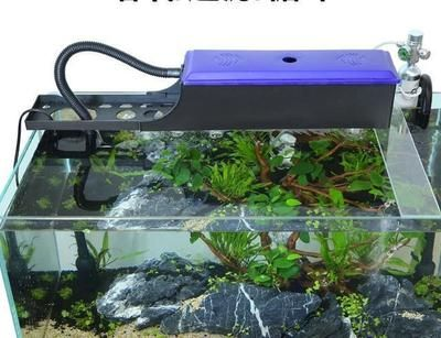 好的魚缸過濾器能不能用，如何選擇適合魚缸的過濾器