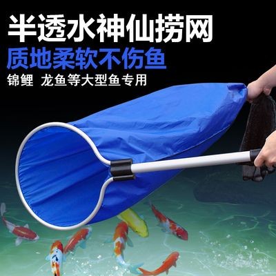龍魚魚食品牌vs祥龍魚場：龍魚魚食品牌與祥龍魚場在市場競爭中展開激烈角逐