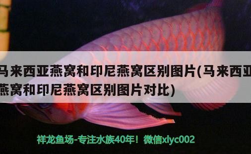 威海哪里有賣魚缸的市場(chǎng)啊電話（威海市裝飾城）