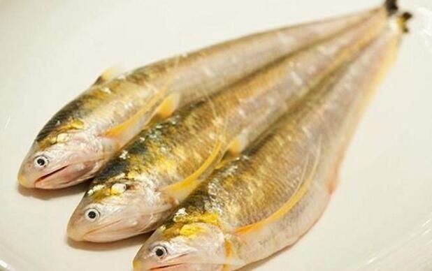 刀魚與其他魚類營養比較，刀魚與其他常見魚類在營養成分上有什么區別？