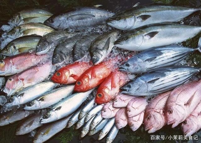 刀魚與其他魚類營養比較，刀魚與其他常見魚類在營養成分上有什么區別？