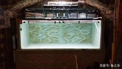 大魚缸怎么換水？：大魚缸換水步驟及注意事項