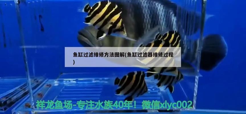 南京大型魚缸定（南京大型魚缸定制報價）