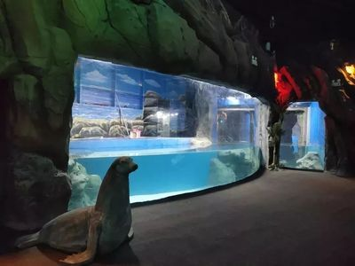 鄂爾多斯水族館vs祥龍魚場（內(nèi)蒙古鄂爾多斯水族館和祥龍魚場和觀賞魚有什么關(guān)系）