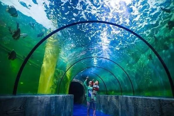 鄂爾多斯水族館vs祥龍魚場（內(nèi)蒙古鄂爾多斯水族館和祥龍魚場和觀賞魚有什么關(guān)系）