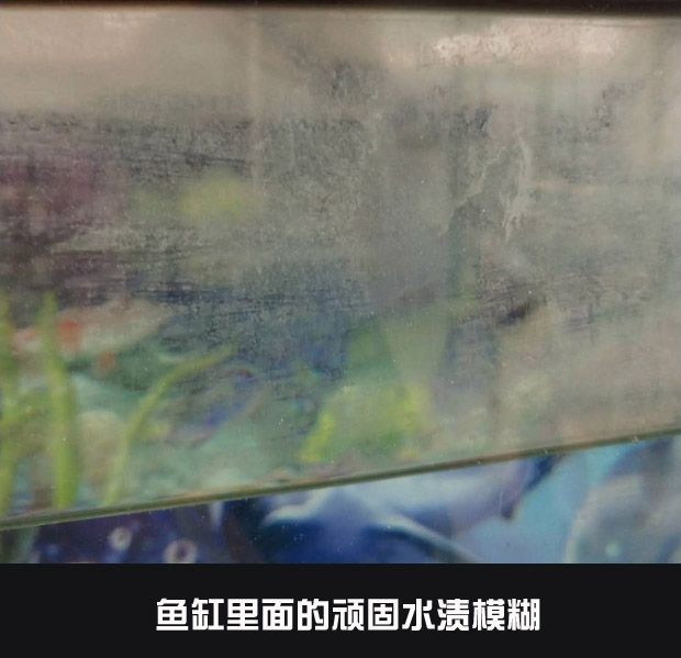 玻璃魚缸有劃痕怎么修復：當玻璃魚缸出現劃痕時可以嘗試以下幾種修復方法
