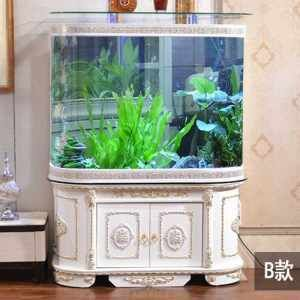 半圓形的魚缸好嗎視頻：半圓形魚缸保養技巧魚缸保養技巧魚缸保養技巧
