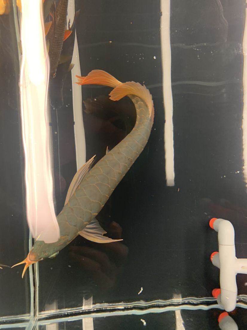 有沒有區別