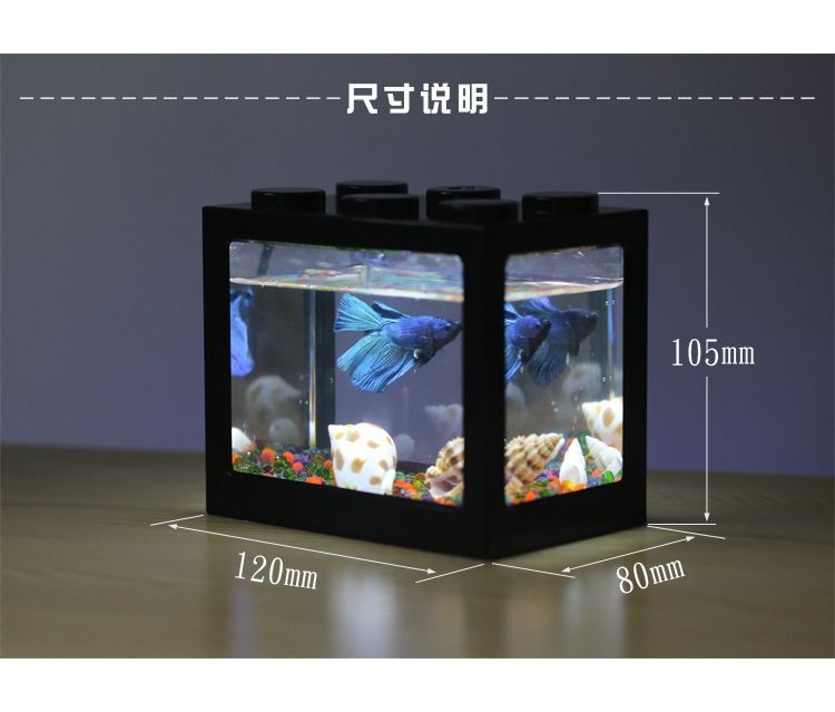 斗魚多大魚缸：斗魚的飼養技巧