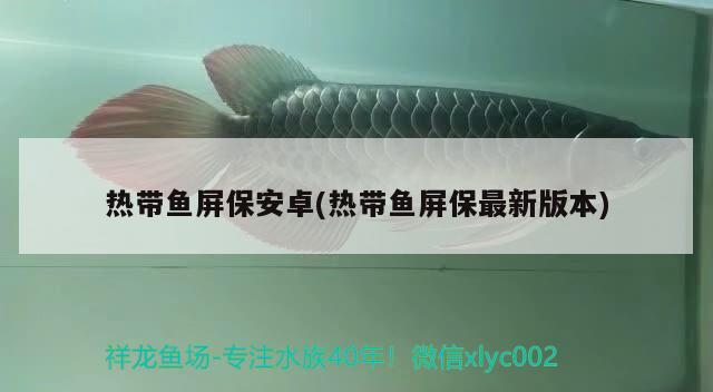 熱帶魚屏保安卓(熱帶魚屏保最新版本)