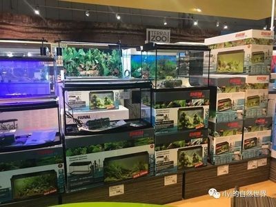 大港賣魚缸的地方有哪些店鋪：天<strong><mark>津市</mark></strong>濱海新區大港地區的寵物店、服務信息