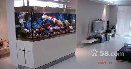 大港賣(mài)魚(yú)缸的地方有哪些店鋪：天津市濱海新區(qū)大港地區(qū)的寵物店、服務(wù)信息