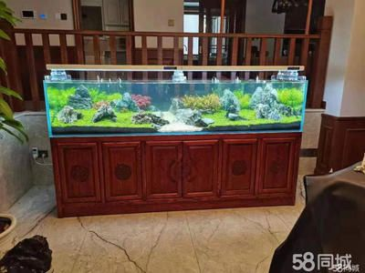 大港賣(mài)魚(yú)缸的地方有哪些店鋪：天津市濱海新區(qū)大港地區(qū)的寵物店、服務(wù)信息