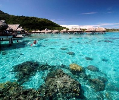 魟魚喜歡沖浪嗎：魟魚是否喜歡沖浪