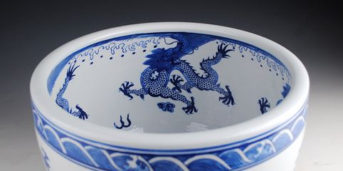 景德鎮龍魚vs祥龍魚場（景德鎮龍魚與祥龍魚場有什么區別？）