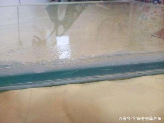 去除魚缸水銹的辦法（去除魚缸水銹的辦法有哪些）