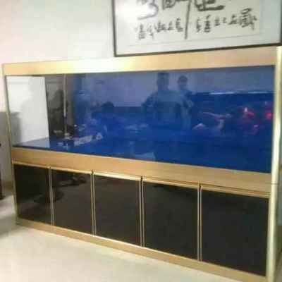 大型魚缸的安裝方法視頻教學：大型魚缸安裝方法 大型魚缸的安裝方法視頻教學：大型魚缸安裝方法 魚缸百科 第4張
