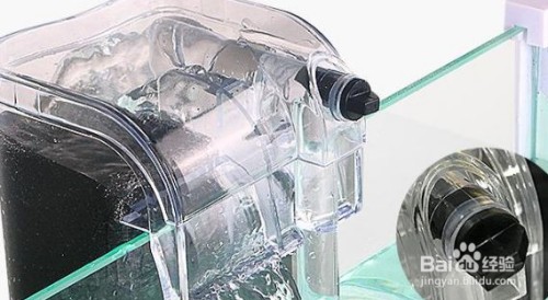 龍魚缸里有白色線蟲（龍魚缸里有白色線蟲怎么解決）