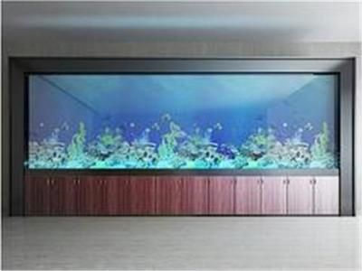 大型魚缸定做：大型亞克力魚缸定制的原因和要點(diǎn)
