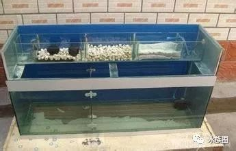 1.2米魚缸那種過濾方式最好：1.2米的魚缸過濾方式及其優(yōu)缺點(diǎn)，選擇合適的過濾方式是非常重要的